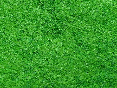 Fluoreszierende Chips 0,4mm Grün